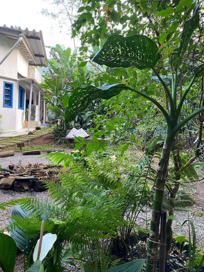Casa Dos Ventos - Refugio, Sustentabilidade, Conexao Ubatuba Dış mekan fotoğraf